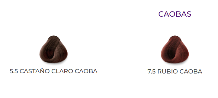 KUUL PERMANENT CHOCOLATES, MAHOGANYS  AND GOLDEN COLORS 3.04 OZ