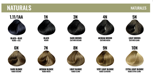 Color Chart Firenze Professional